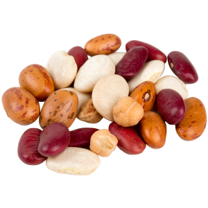 Bean