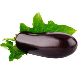 Eggplant